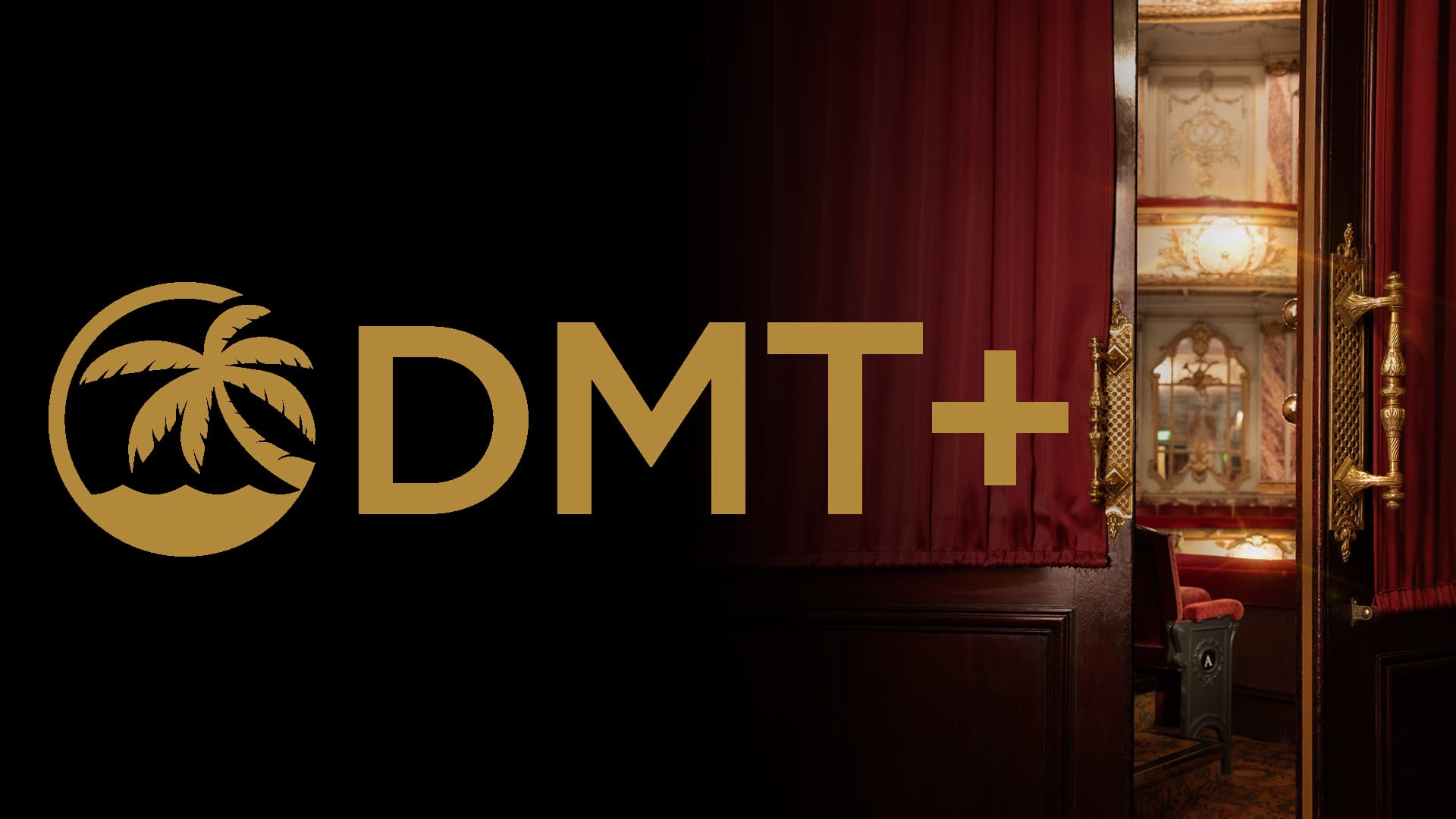 DMT Plus